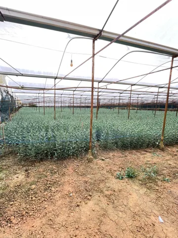 Bất động sản tại Lâm Đồng - ảnh 1
