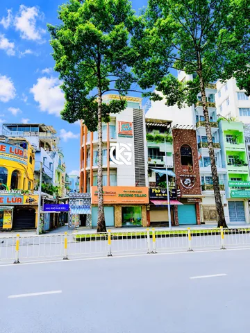 Bất động sản tại TP. Hồ Chí Minh - ảnh 1