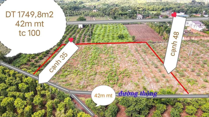 Bất động sản tại Đắk Lắk - ảnh 1