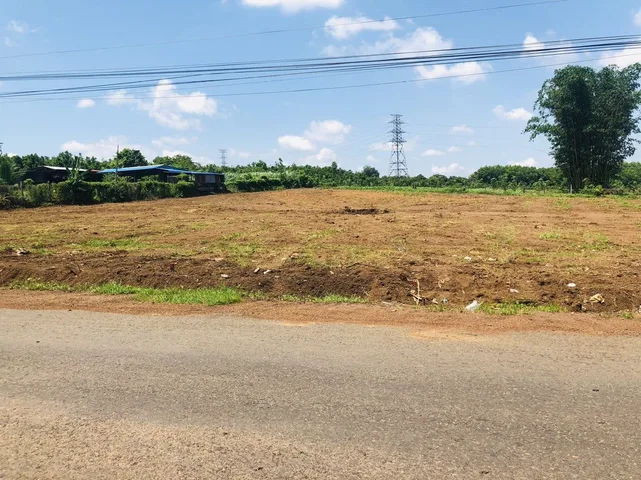 Bất động sản tại Bình Dương - ảnh 1