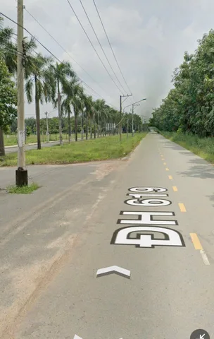 Bất động sản tại Bình Dương - ảnh 1