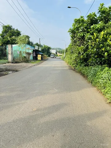 Bất động sản tại Đồng Nai - ảnh 1