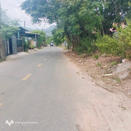 Bất động sản tại Đà Nẵng - ảnh 1