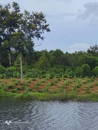 Bất động sản tại Đắk Lắk - ảnh 1
