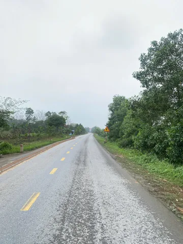 Bất động sản tại Phú Thọ - ảnh 1