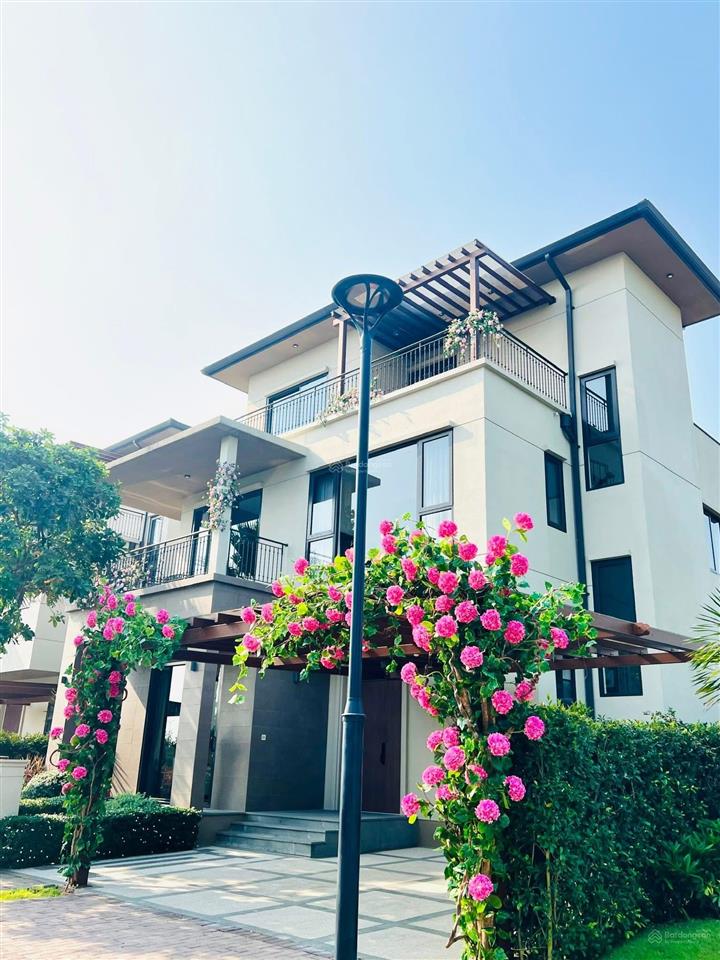 Bất động sản tại Long An - ảnh 1