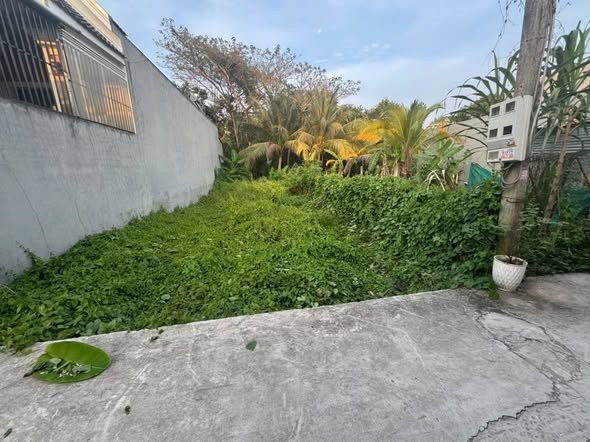 Bất động sản tại Vĩnh Long - ảnh 1