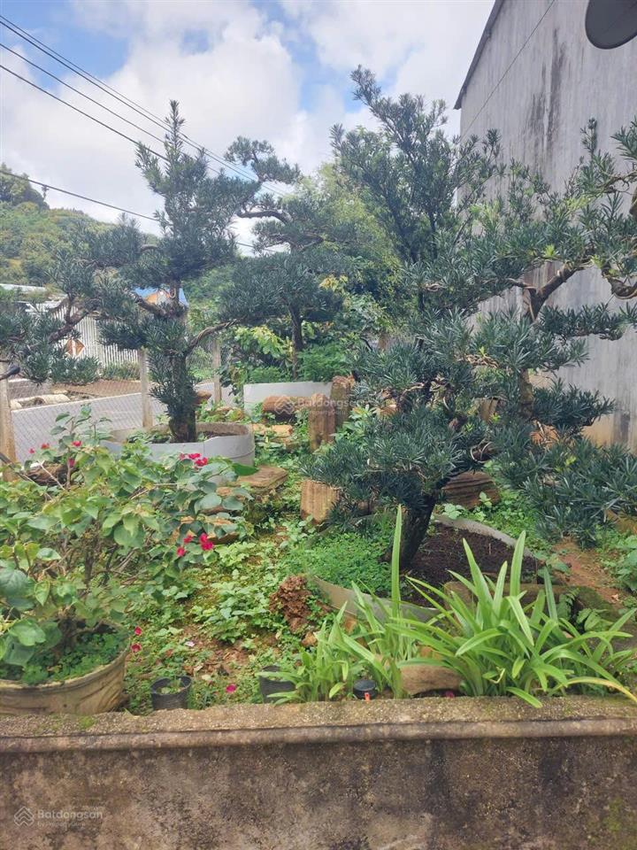 Bất động sản tại Lâm Đồng - ảnh 1