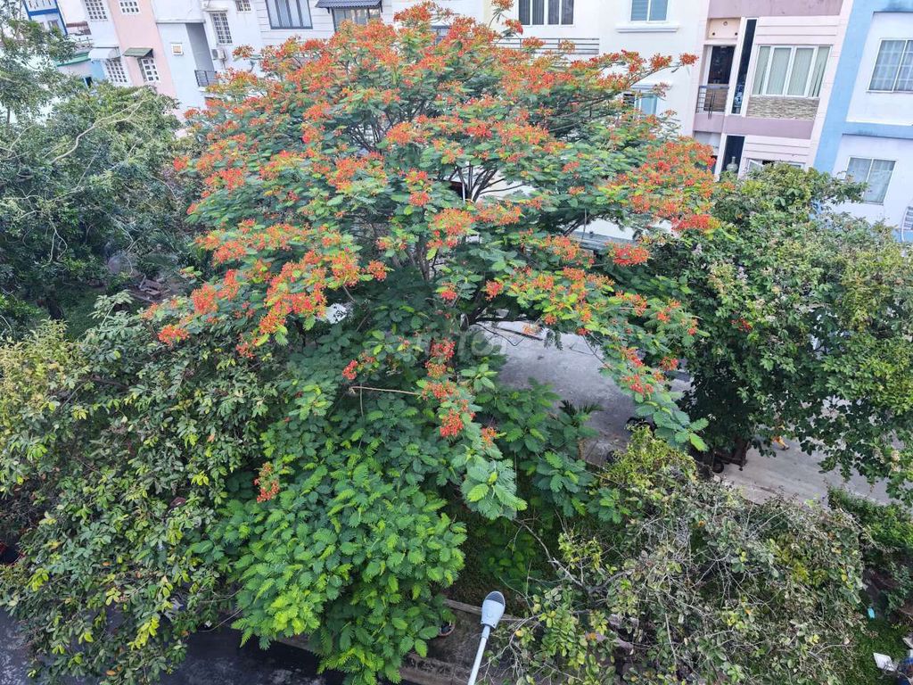 Nhà riêng tại 6, TP. Hồ Chí Minh - ảnh 3