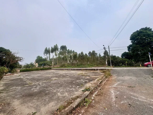 Bất động sản tại Phú Thọ - ảnh 1