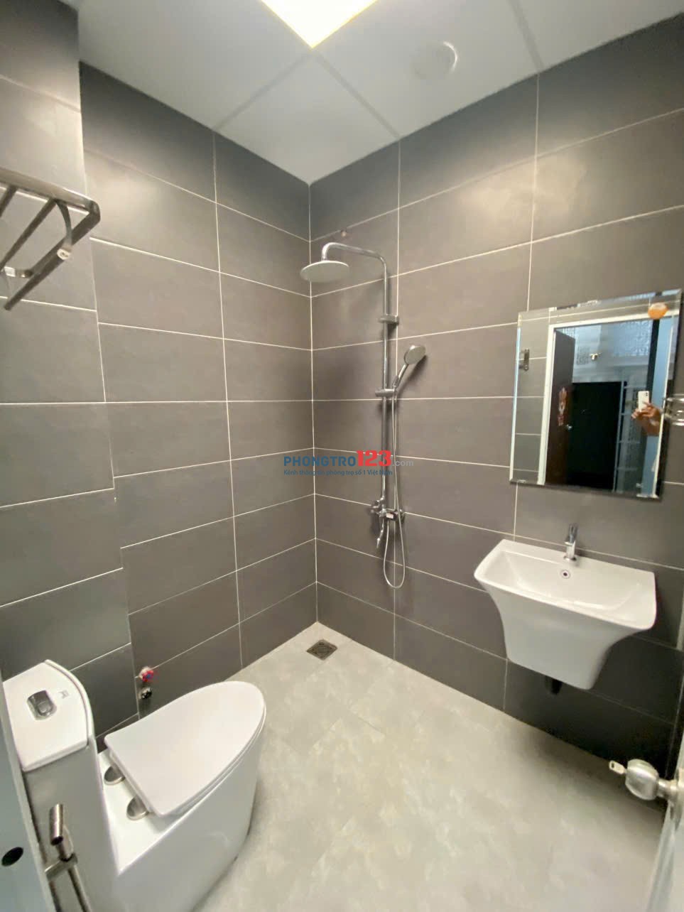 Bất động sản tại TP. Hồ Chí Minh - ảnh 1