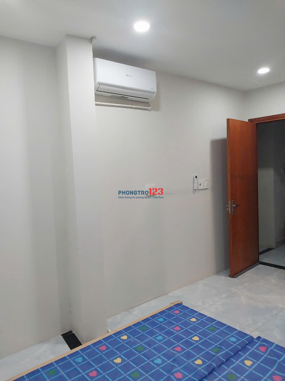 Bất động sản tại TP. Hồ Chí Minh - ảnh 1