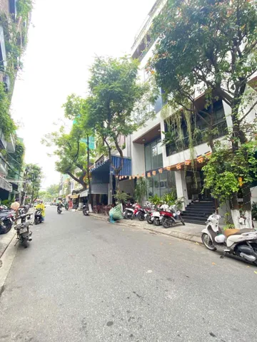 Bất động sản tại Đà Nẵng - ảnh 1