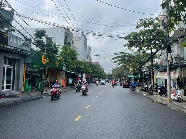 Bất động sản tại Đà Nẵng - ảnh 1
