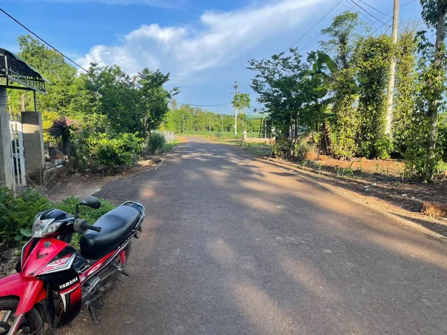 Bất động sản tại Đắk Lắk - ảnh 1
