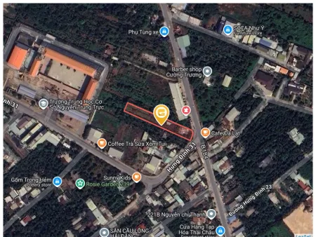 Bất động sản tại Bình Dương - ảnh 1