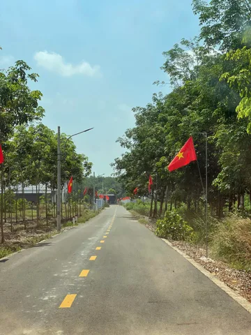 Bất động sản tại Bình Dương - ảnh 1