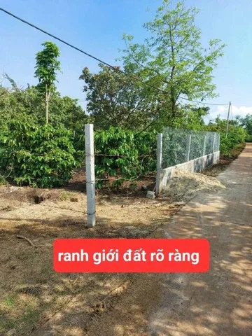 Bất động sản tại Đắk Lắk - ảnh 1