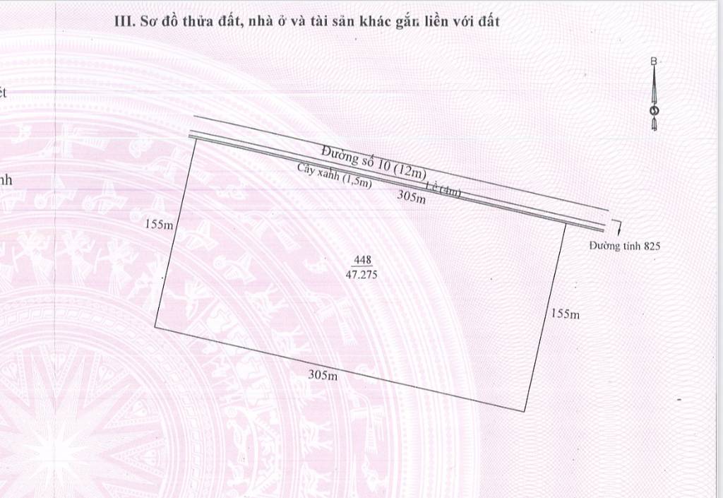 Bất động sản tại Long An - ảnh 1