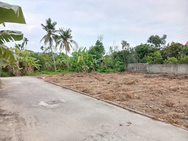 Bất động sản tại Hải Phòng - ảnh 1