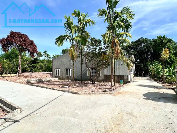 Bất động sản tại Thừa Thiên Huế - ảnh 1