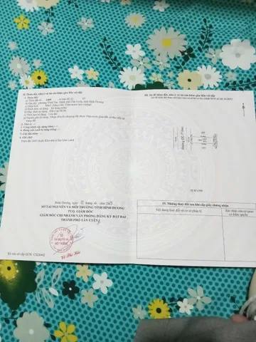 Bất động sản tại Bình Dương - ảnh 1