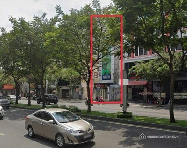 Bất động sản tại TP. Hồ Chí Minh - ảnh 1