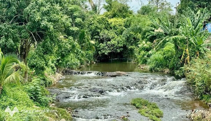 Bất động sản tại Đắk Lắk - ảnh 1