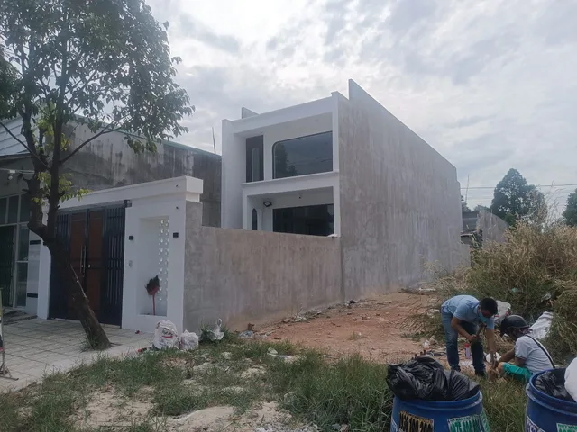 Bất động sản tại Bình Dương - ảnh 1
