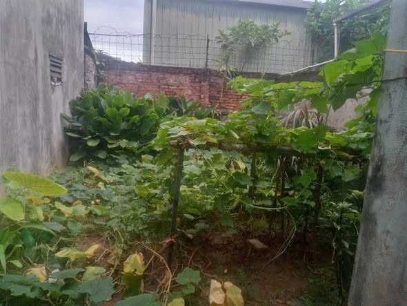 Bất động sản tại Ninh Bình - ảnh 1