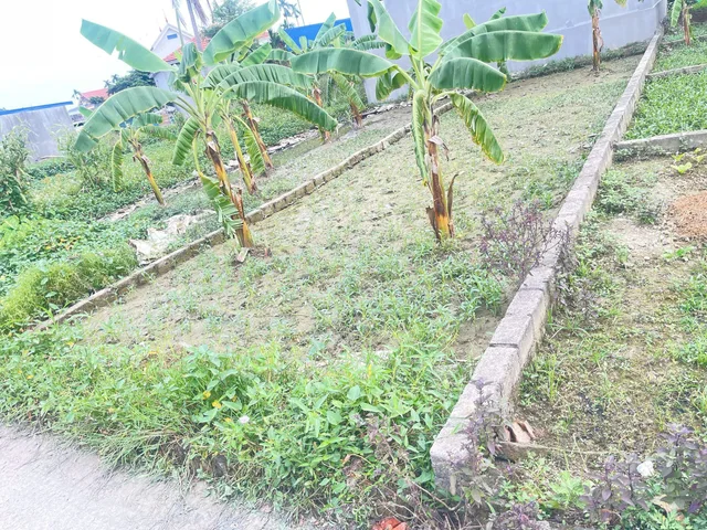 Bất động sản tại Hải Phòng - ảnh 1