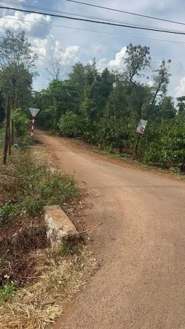 Bất động sản tại Đắk Lắk - ảnh 1
