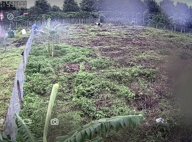 Bất động sản tại Lâm Đồng - ảnh 1