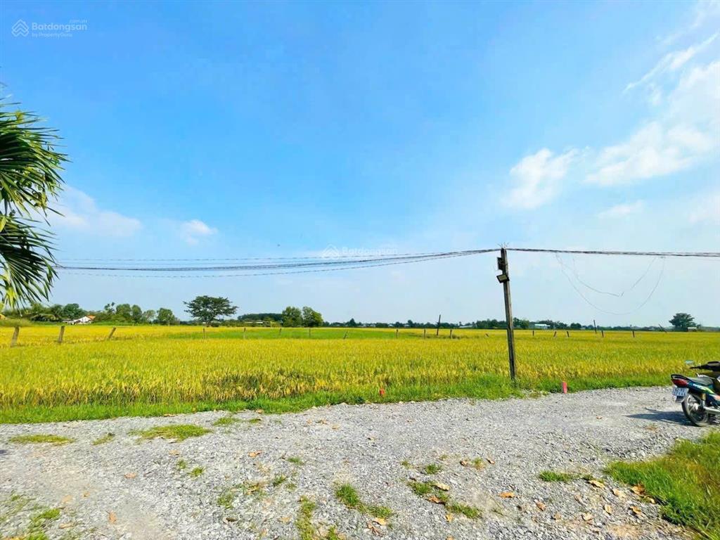 Bất động sản tại Tây Ninh - ảnh 1
