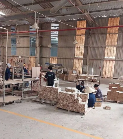 Bất động sản tại Bình Dương - ảnh 1