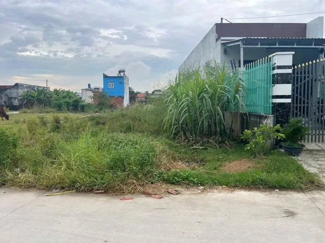 Bất động sản tại Long An - ảnh 1