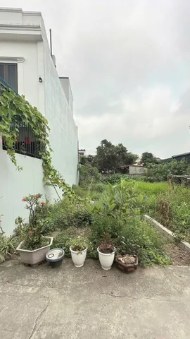 Bất động sản tại Hải Phòng - ảnh 1