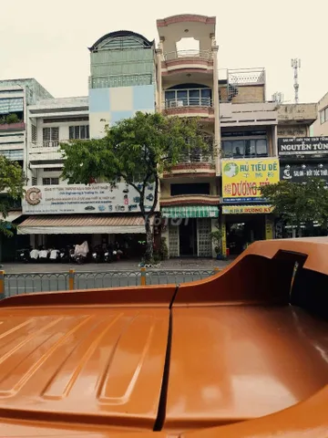 Bất động sản tại TP. Hồ Chí Minh - ảnh 1