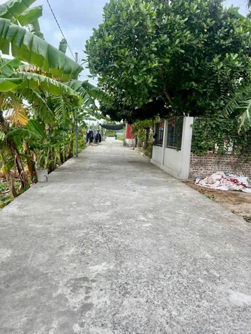 Bất động sản tại Hải Phòng - ảnh 1