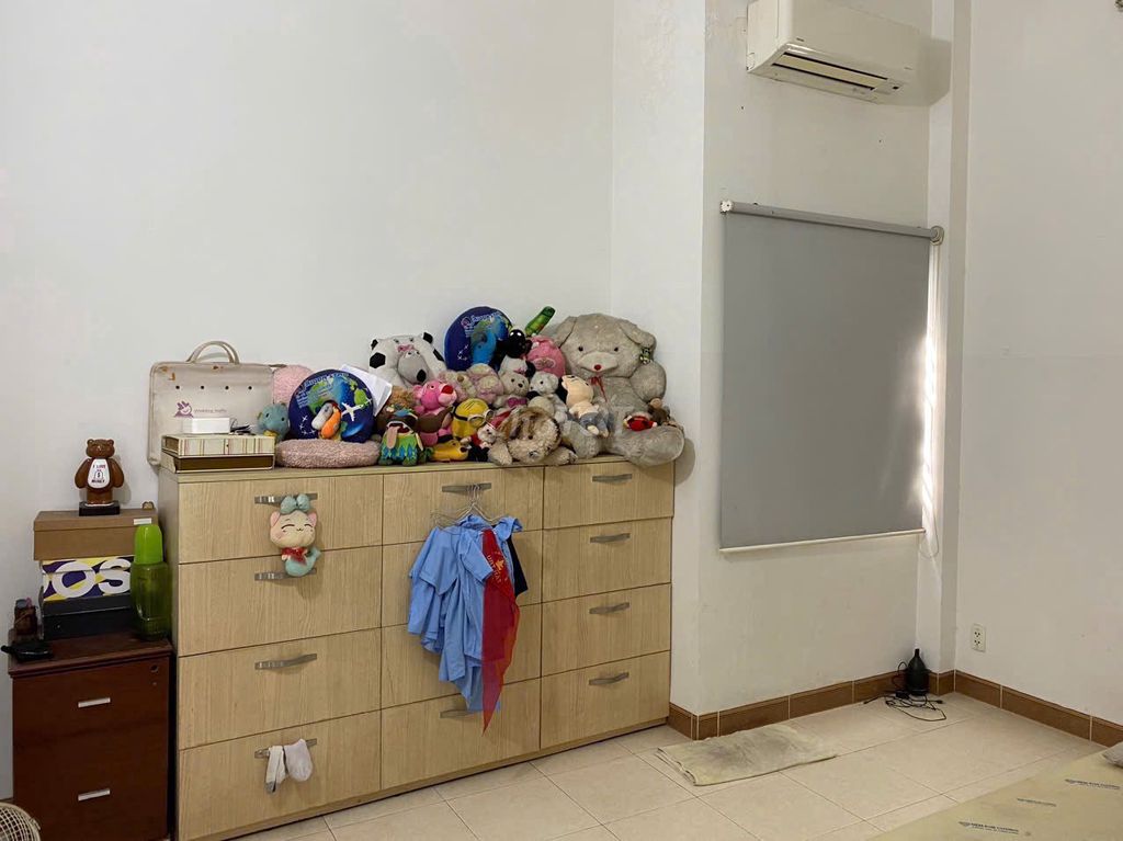 Nhà riêng tại Tân Bình, TP. Hồ Chí Minh - ảnh 3