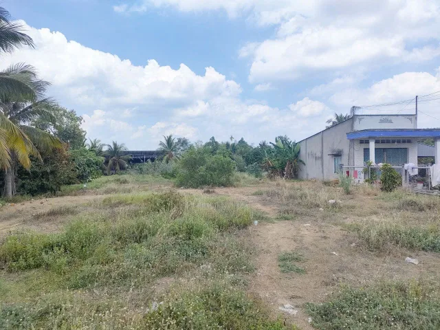 Bất động sản tại Đồng Tháp - ảnh 1