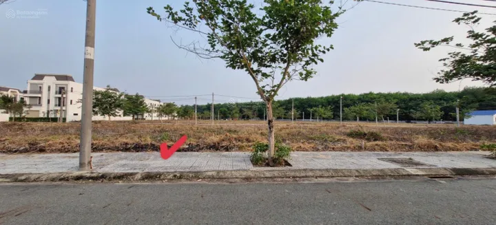 Bất động sản tại Bình Dương - ảnh 1