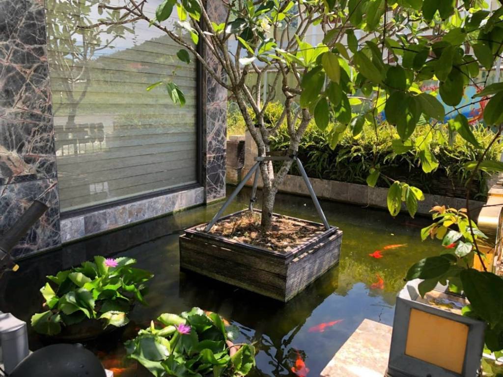 Bất động sản tại Đà Nẵng - ảnh 1
