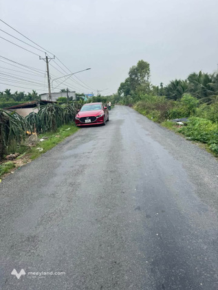 Bất động sản tại Tiền Giang - ảnh 1