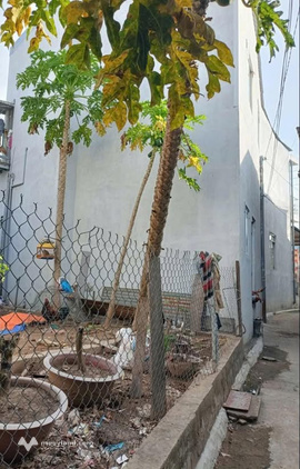 Bất động sản tại An Giang - ảnh 1