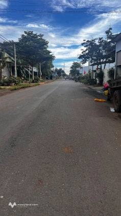 Bất động sản tại Lâm Đồng - ảnh 1