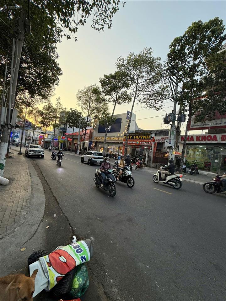 Bất động sản tại Bình Dương - ảnh 1