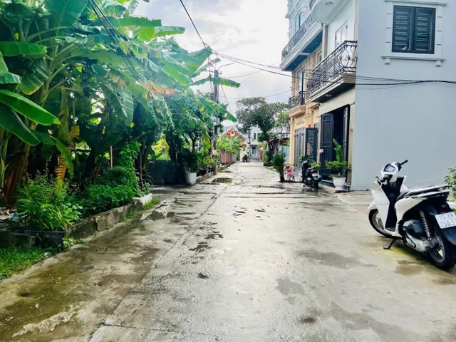 Bất động sản tại Hải Phòng - ảnh 1