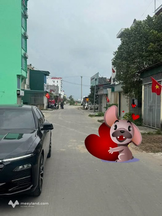 Bất động sản tại Thái Bình - ảnh 1