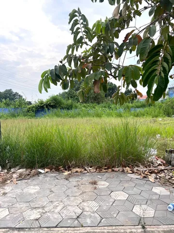 Bất động sản tại Tây Ninh - ảnh 1